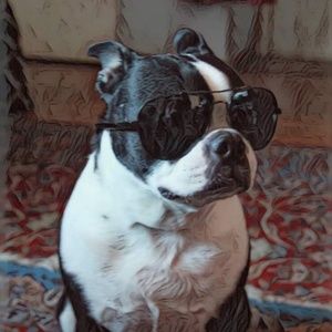 Meet your Posher, Johnny